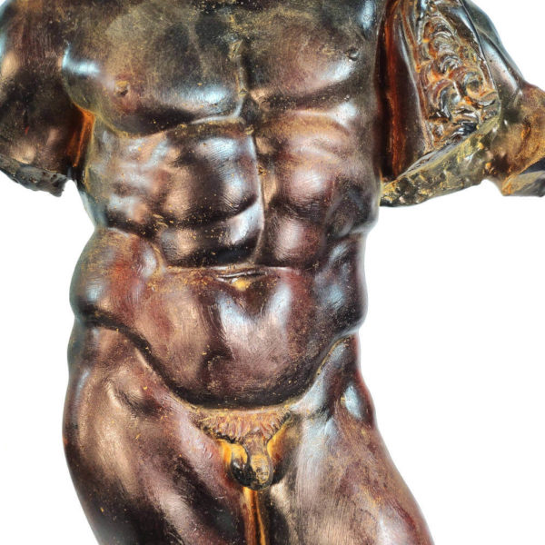 Hercules torso